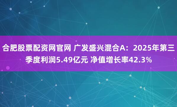 合肥股票配资网官网 广发盛兴混合A：2025年第三季度利润5.49亿元 净值增长率42.3%